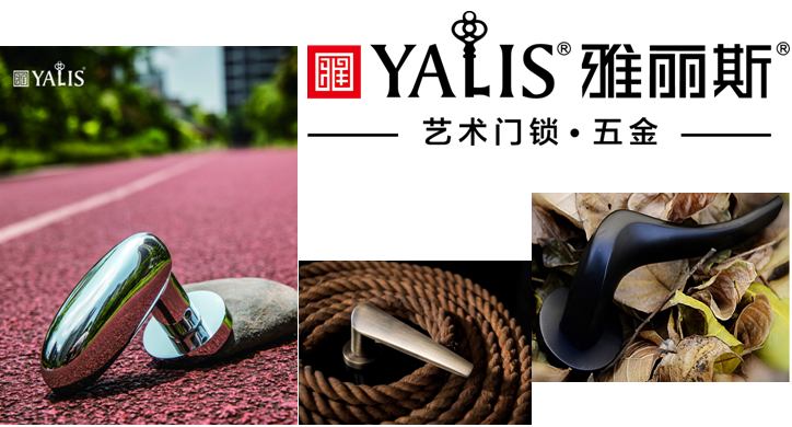 雅丽斯分体式执手锁