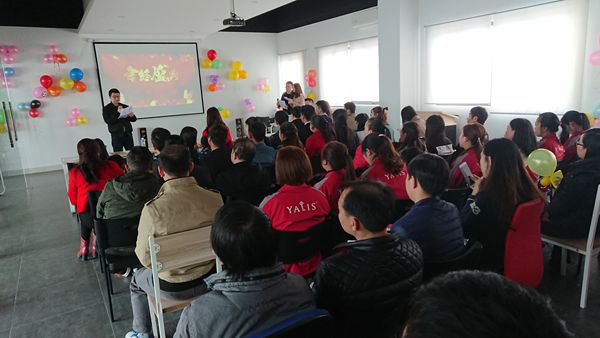 雅丽斯门锁五金