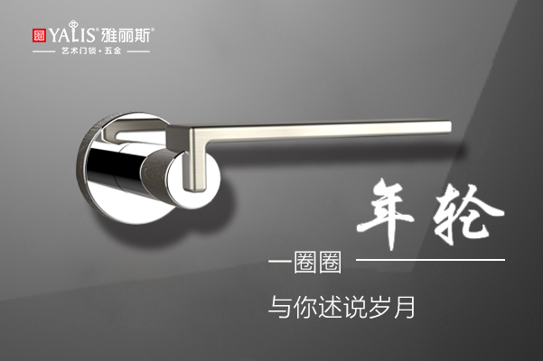 雅丽斯卧室房门锁