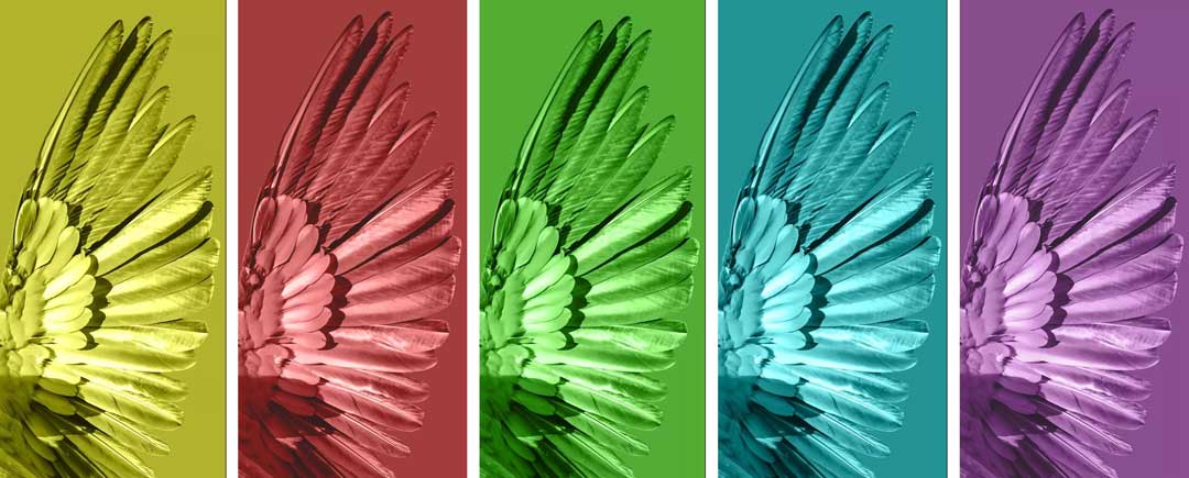 简约执手锁品牌雅丽斯