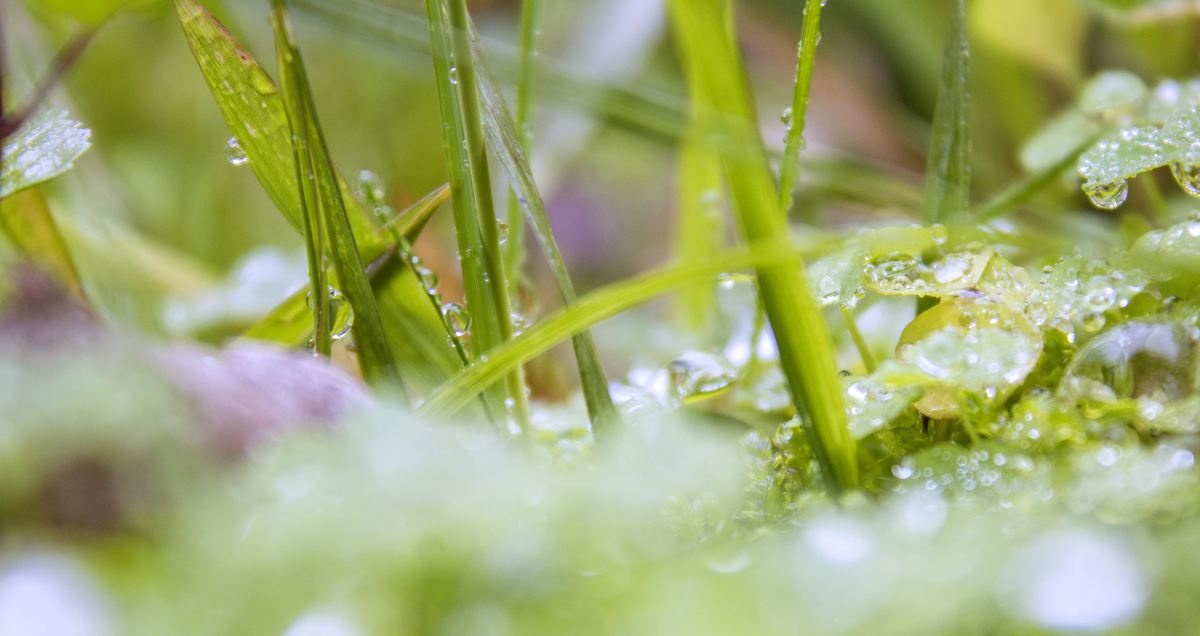 门锁哪个品牌好