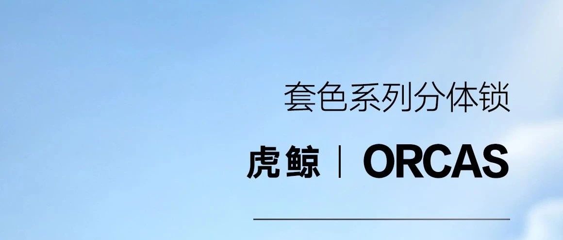 YALIS雅丽斯虎鲸312极简门锁